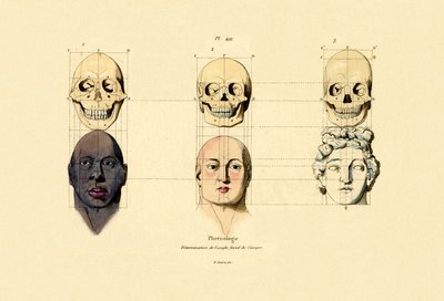 Phrenologie von French School
